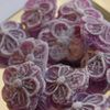 violette Toulouse confiserie