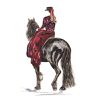 amazone jupe longue cheval