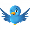 twitter-bird-copie-1.png
