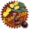 Baadge castañas200