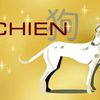 astrologie-chinoise-du-chien-2426894_1350.jpg