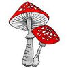 pilz-05.jpg