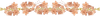 6z5a445y
