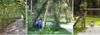Walderlebnispfad Freising 9