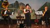 01 Neujahrskonzert Gde 2013 00 Trio 01