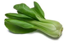 pak choi