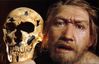 medium neandertal 2
