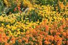 Monet à Giverny 20115463