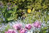 Monet à Giverny 20115473
