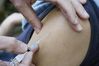 vaccin