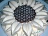 tournesol bailey choco 1