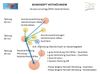 Buskonzept 06 Strukturvorschlag