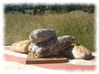 saucisson-pain-montagne.jpg