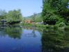 Giverny 1227