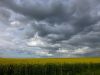 ciel-bas-et-lourd-Vexin---reduc.JPG
