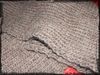DSCF6015