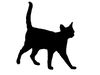 chat qui marche - ombre - copyright : techniques d'élevage