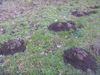 2012-0220-LeTaillan-06