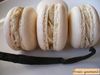 macaron vanille