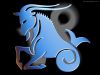 capricorne-copie-1
