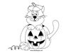 citrouille-chat-nb.jpg