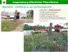 05-Mainlaende-Schiffsanlegestelle.jpg