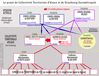Schéma Conseil pas unique d Alsace Collectivite Territoria