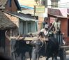 04Hauptstadt Antananarivo 04