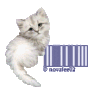 copyright novalee1