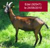 edel 236097 92547 2010-06-24