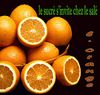 L-ORANGE.jpg