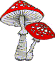 Champignon.gif