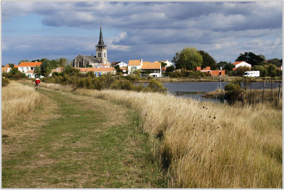 85---Ile-d-Olonne-029.jpg