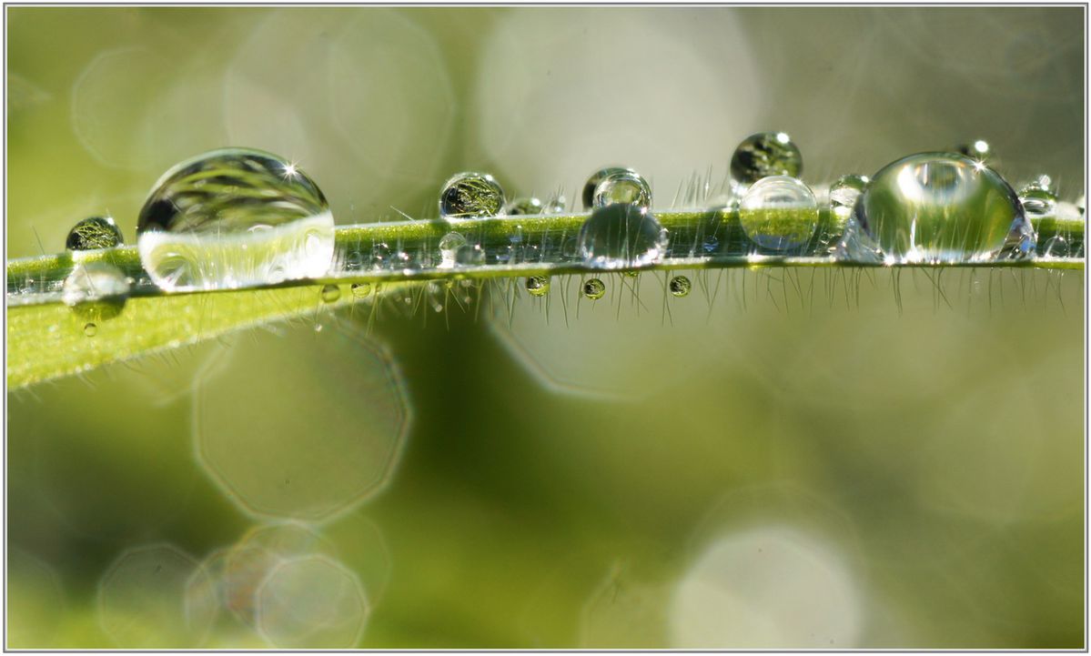 Goutte-d-eau-024.jpg
