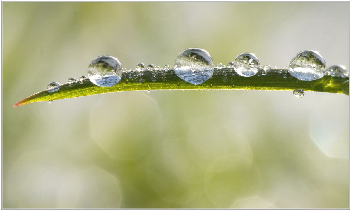 Goutte-d-eau-029.jpg