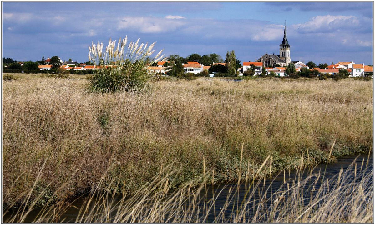 85---Ile-d-Olonne-032.jpg