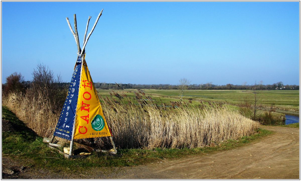 85---Sallertaine-027.jpg