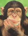 singe