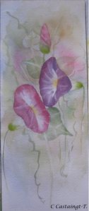 fleurs.jpg