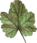 Feuille1