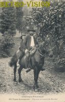 cheval-auvergne1