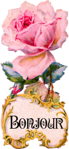 rose-bonjour.png