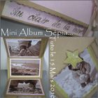 mini album scrap tuto