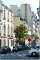 Paris Avenue d'Iena