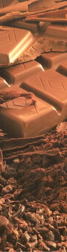 Chocomiam