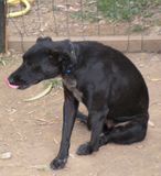 DSCN8438.JPG