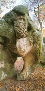 elephant d'Apremont - forêt Fontainebleau0001