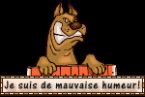 chien_mauvaise_humeur.jpg