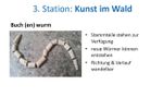 Bild28