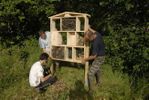 Hotel-insectes 12 ANST